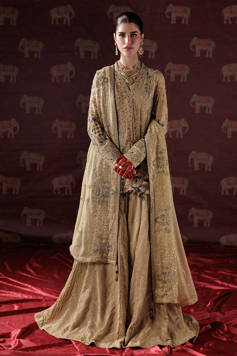 Panache-Luxury Chiffon'25